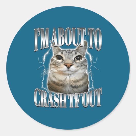 I'm About To Crash Out Funny Staring Cat Brainrot  Ronde Sticker (Voorkant)