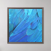 I'm blue - Macaw feathers Canvas Afdruk (Voorkant)