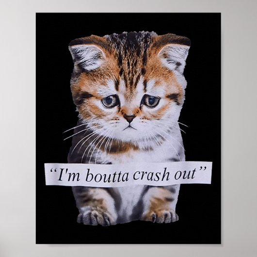 I'm Boutta Crash Out Cat Funny Meme Cat Pet Lover  Poster (Voorkant)