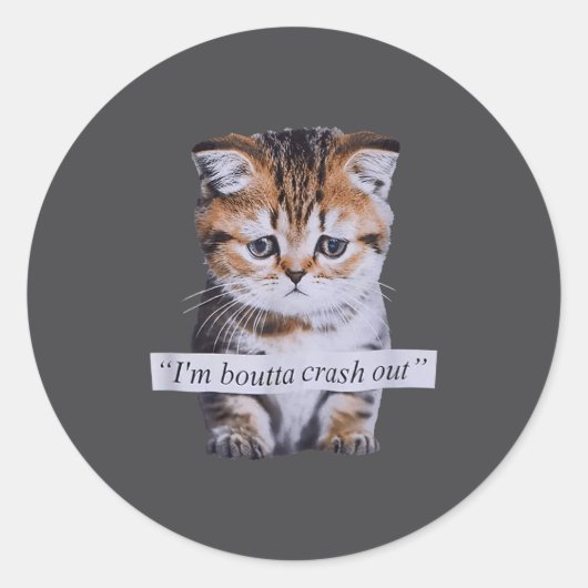 I'm Boutta Crash Out Cat Funny Meme Cat Pet Lover  Ronde Sticker (Voorkant)
