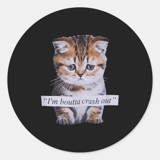 I'm Boutta Crash Out Funny Sarcasm Quotes Meme Cat Ronde Sticker (Voorkant)