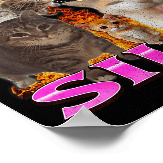 I'm Feeling Silly Funny Cat Meme Bootleg Graphic F Poster (Hoek)