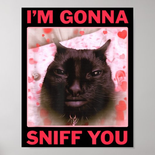 I'm Gonna Sniff You Funny Raunchy Brainrot Meme Ge Poster (Voorkant)