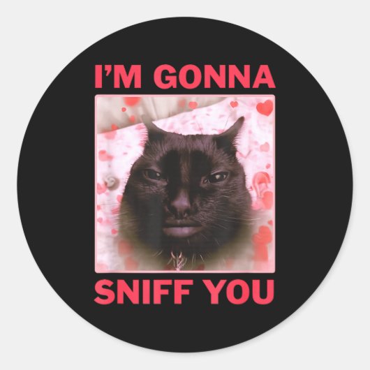 I'm Gonna Sniff You Funny Raunchy Brainrot Meme Ge Ronde Sticker (Voorkant)