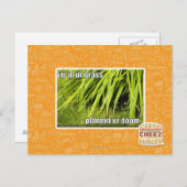 im in ons gras briefkaart (Voorkant / Achterkant)