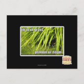 im in ons gras briefkaart (Voorkant)