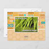 im in ons gras briefkaart (Voorkant / Achterkant)