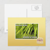 im in ons gras briefkaart (Voorkant / Achterkant)