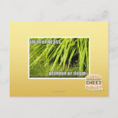 im in ons gras briefkaart (Voorkant)