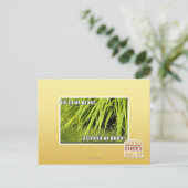 im in ons gras briefkaart (Staand voorkant)