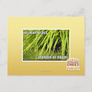 im in ons gras briefkaart