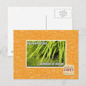 im in ons gras briefkaart (Voorkant / Achterkant)