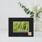 im in ons gras briefkaart (Staand voorkant)