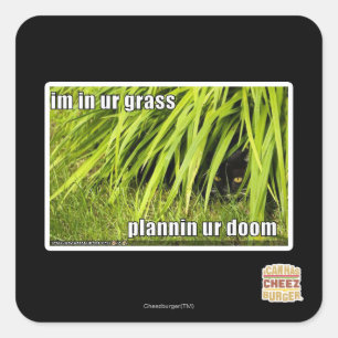 im in ons gras vierkante sticker