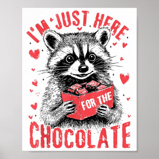 I'm Just Here For The Chocolate Funny Raccoon Vale Poster (Voorkant)