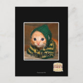 im link briefkaart (Voorkant)