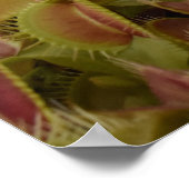 I'm not sure I like extreme sport. Poster (Hoek)