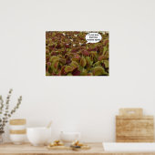 I'm not sure I like extreme sport. Poster (Keuken)