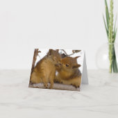 I'M NUTS ABOUT YOU! KAART (Voorkant)