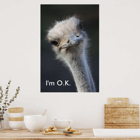 Im O.K. Poster (Keuken)