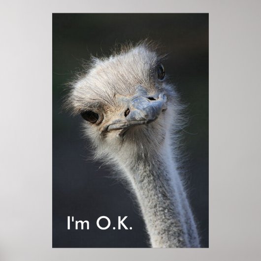 Im O.K. Poster (Voorkant)