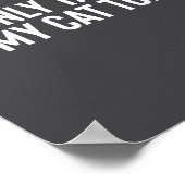 I'm Only Talking To My Cat Today Poster (Hoek)