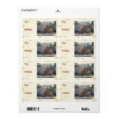 Im op onze as etiket (Full Sheet)