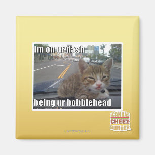 Im op onze as magneet