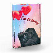 "I'm so sorry" Fotoblokken (Links)