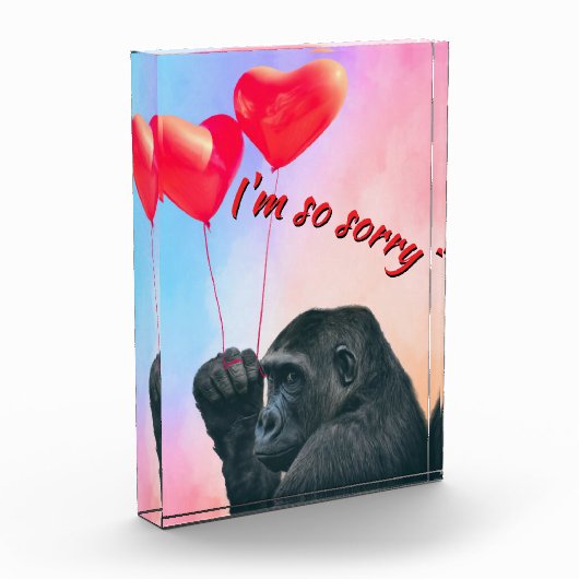 "I'm so sorry" Fotoblokken (Links)