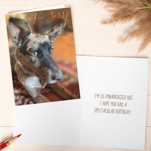 I'm Sorry Side Eye Cattle Dog Belated Birthday Kaart