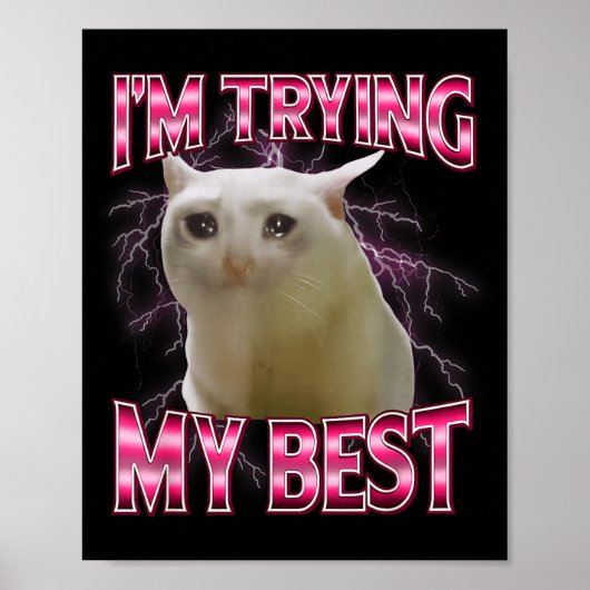 I'm Trying My Silly Crying Cat Meme Funny Cats Ani Poster (Voorkant)