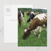 ima28991 briefkaart (Voorkant / Achterkant)