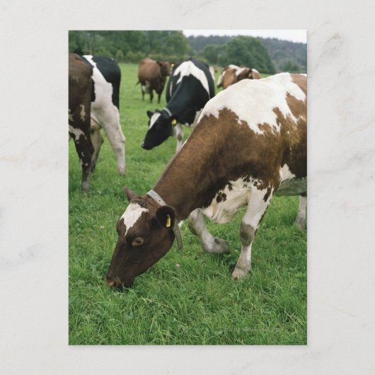 ima28991 briefkaart (Voorkant)