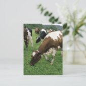 ima28991 briefkaart (Staand voorkant)