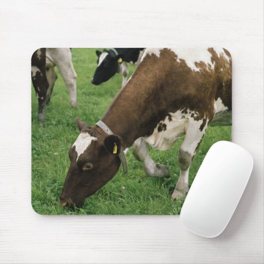 ima28991 muismat (Met muis)