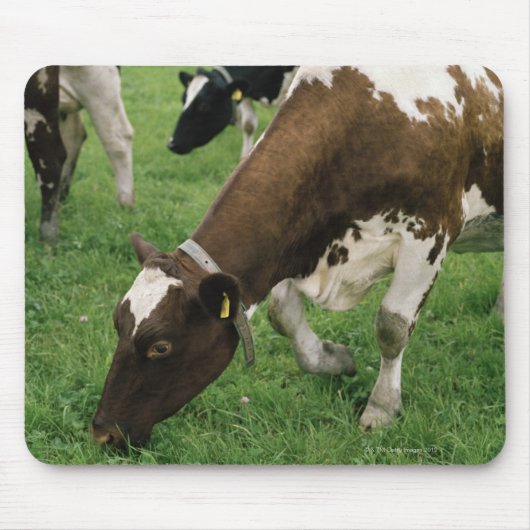 ima28991 muismat (Voorkant)