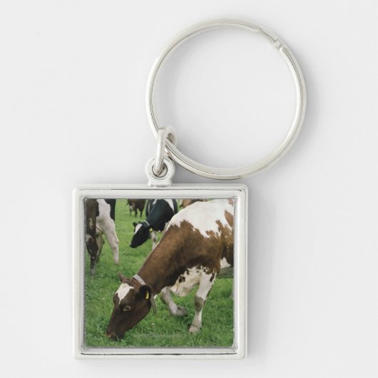 ima28991 sleutelhanger (Voorkant)