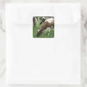 ima28991 vierkante sticker (Tas)