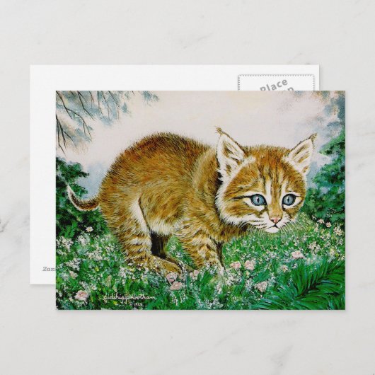 Ima Bobkitty Briefkaart (Voorkant / Achterkant)