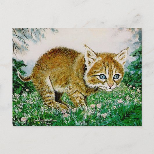 Ima Bobkitty Briefkaart (Voorkant)