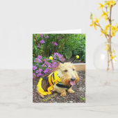 ImaBee Kaart (Gele Bloem)