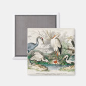 image-from-rawpixel-id-411915.jpg magneet (Voorkant / Achterkant)