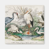 image-from-rawpixel-id-411915.jpg magneet (Voorkant)