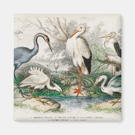 image-from-rawpixel-id-411915.jpg magneet