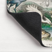 image-from-rawpixel-id-411915.jpg muismat (Hoek)