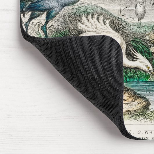 image-from-rawpixel-id-411915.jpg muismat (Hoek)