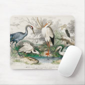 image-from-rawpixel-id-411915.jpg muismat (Met muis)