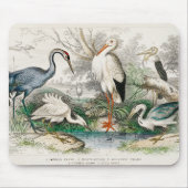 image-from-rawpixel-id-411915.jpg muismat (Voorkant)