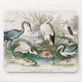 image-from-rawpixel-id-411915.jpg muismat